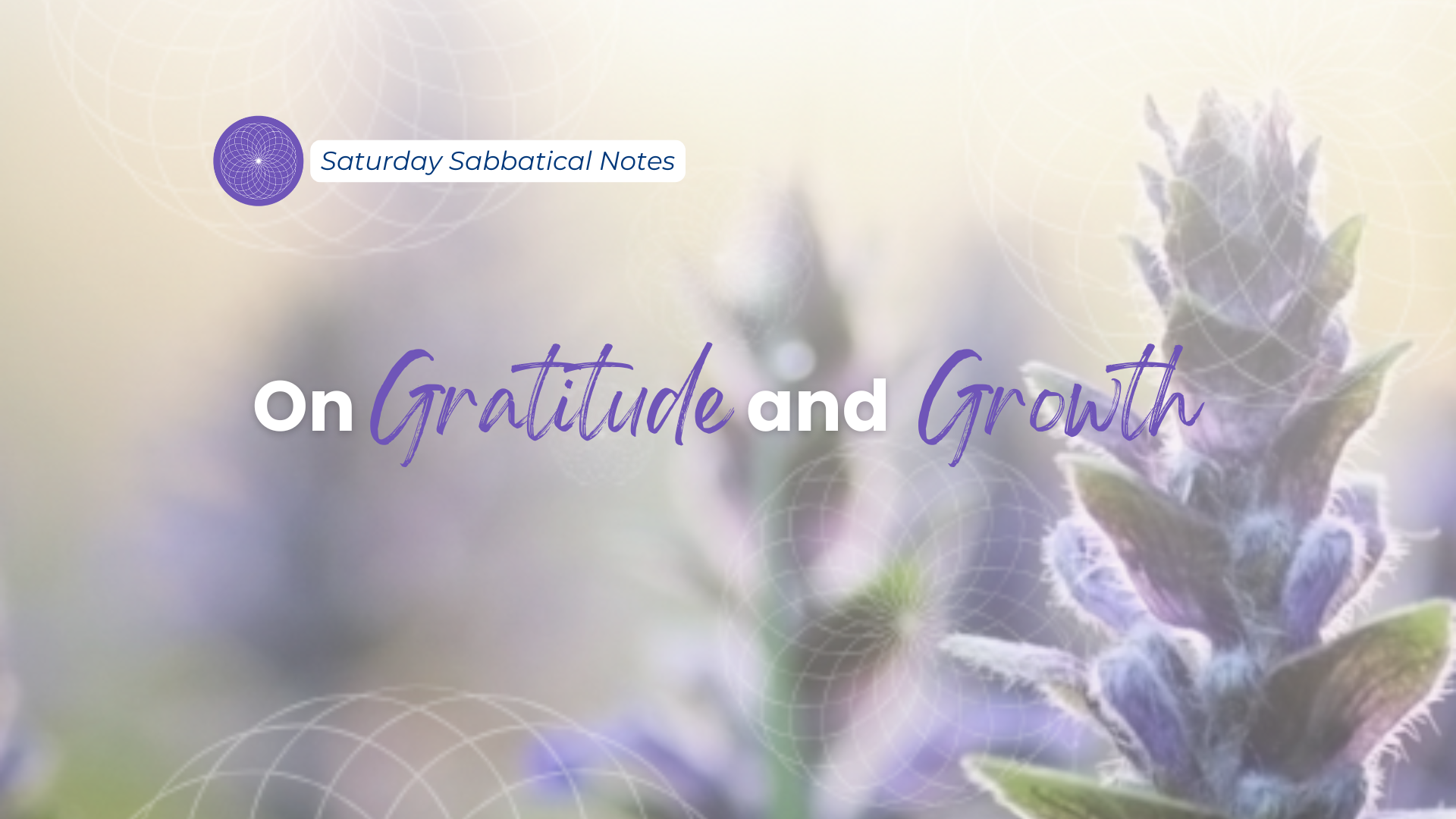 On Gratitude and Growth - Blog Article (Podia) Featured Image